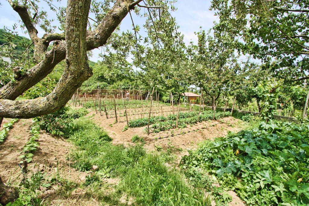 Agriturismo La Chiana Villa Vico Equense Exterior foto