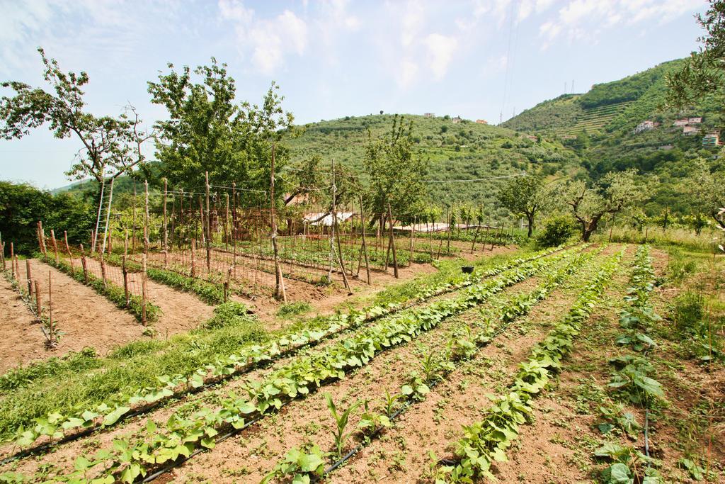 Agriturismo La Chiana Villa Vico Equense Exterior foto